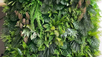 重庆仿真植物有哪些