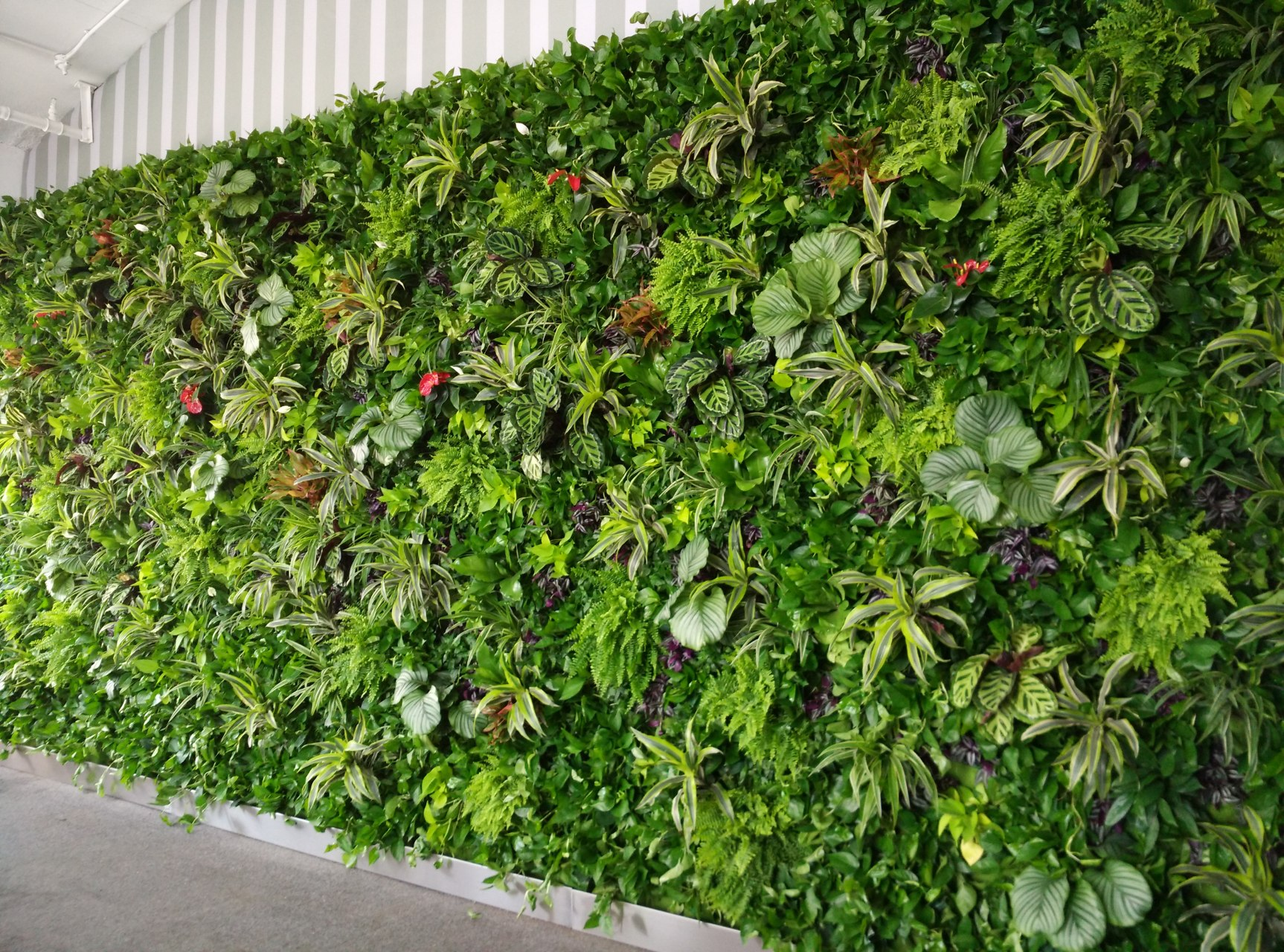 重庆仿真植物墙安装全攻略