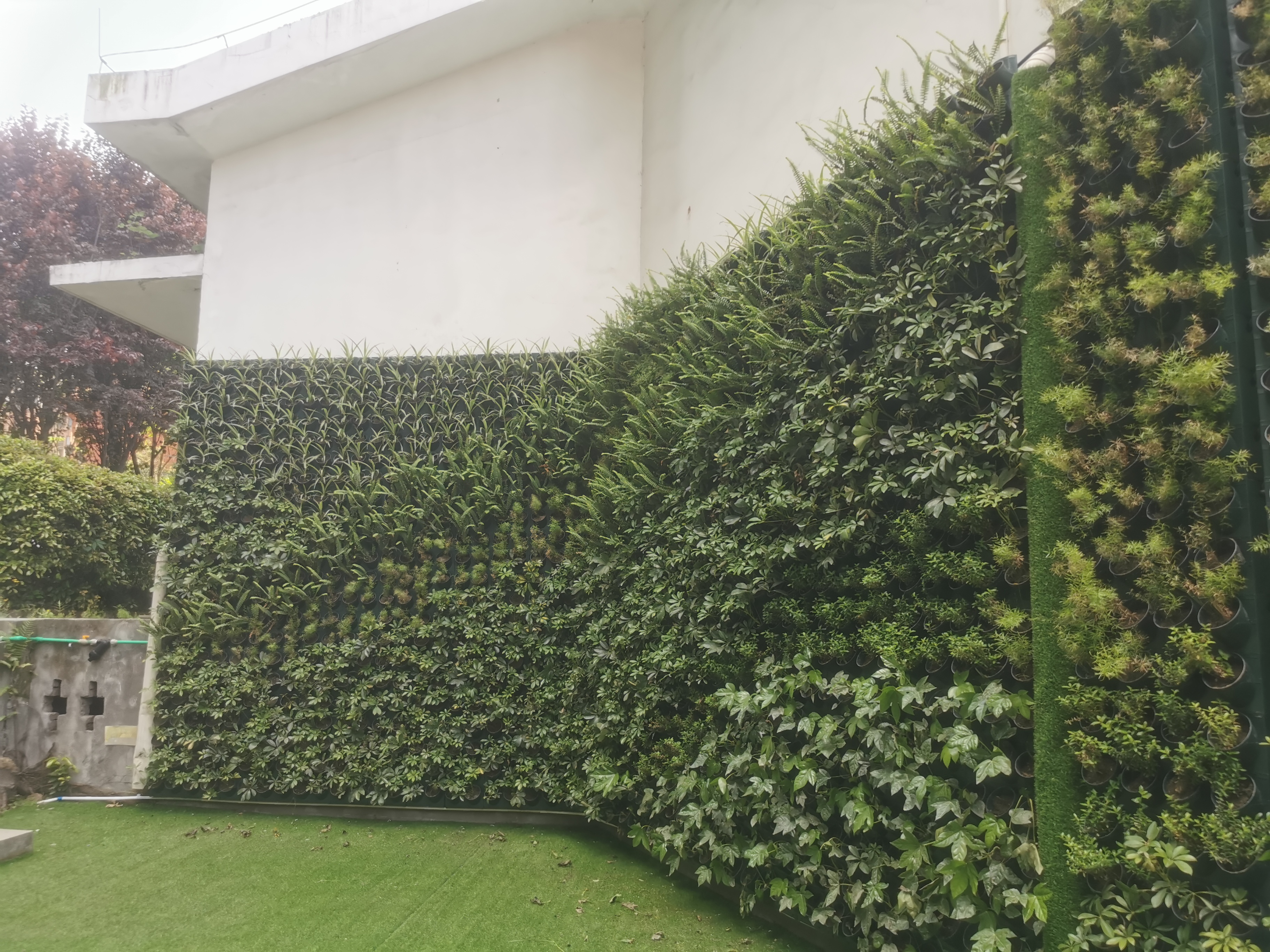 重庆植物墙，让建筑与自然共生